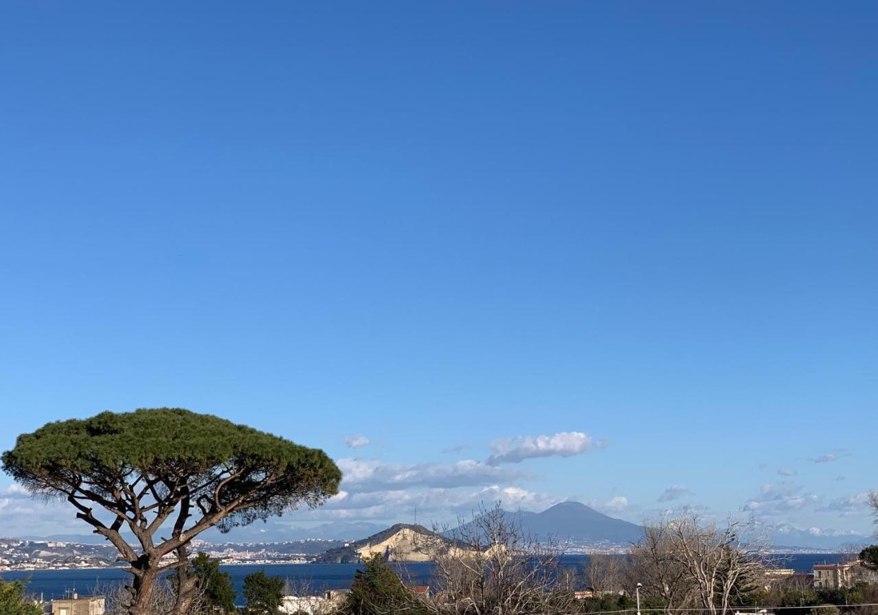 B&B Mediterraneo Procida Exterior photo